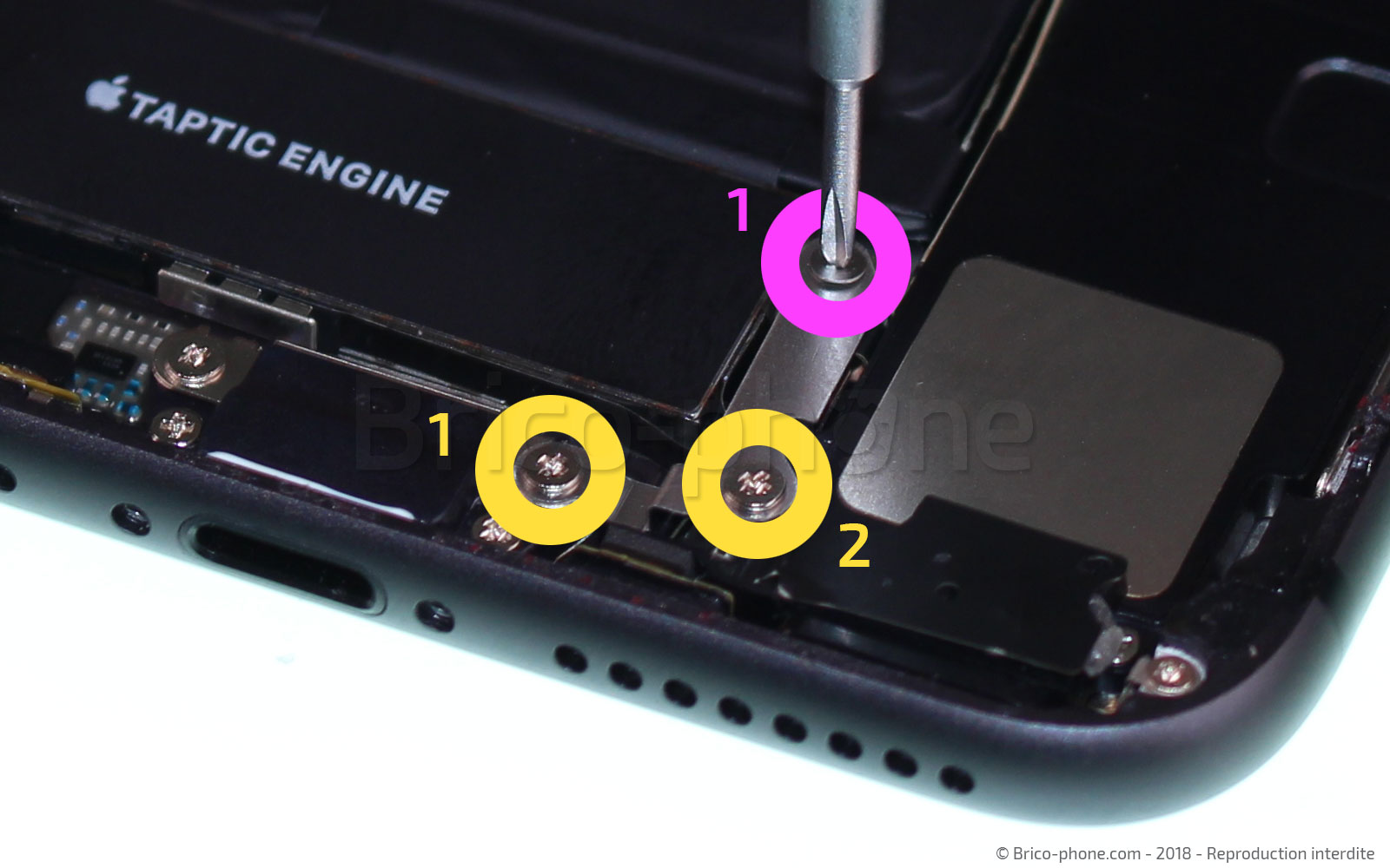 Changement du vibreur Taptic Engine sur iPhone 8 Plus photo 1