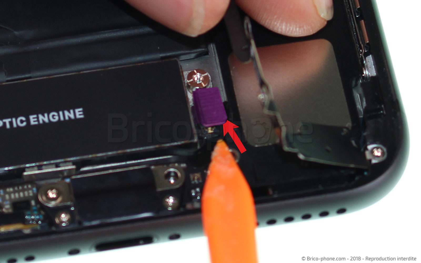 Changement du vibreur Taptic Engine sur iPhone 8 Plus photo 2