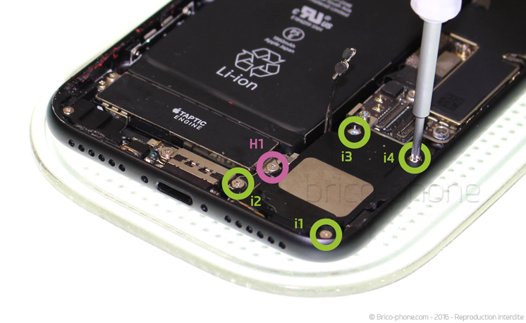 Changement du haut-parleur externe sur iPhone 7 photo 1