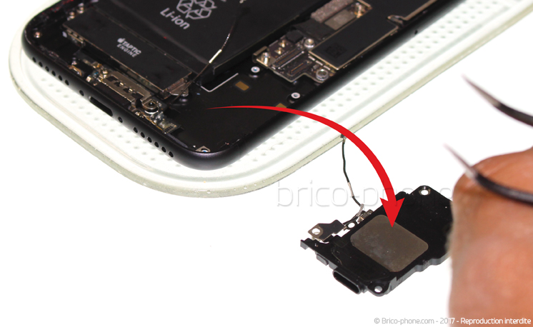 Changement du haut-parleur externe sur iPhone 7 photo 3