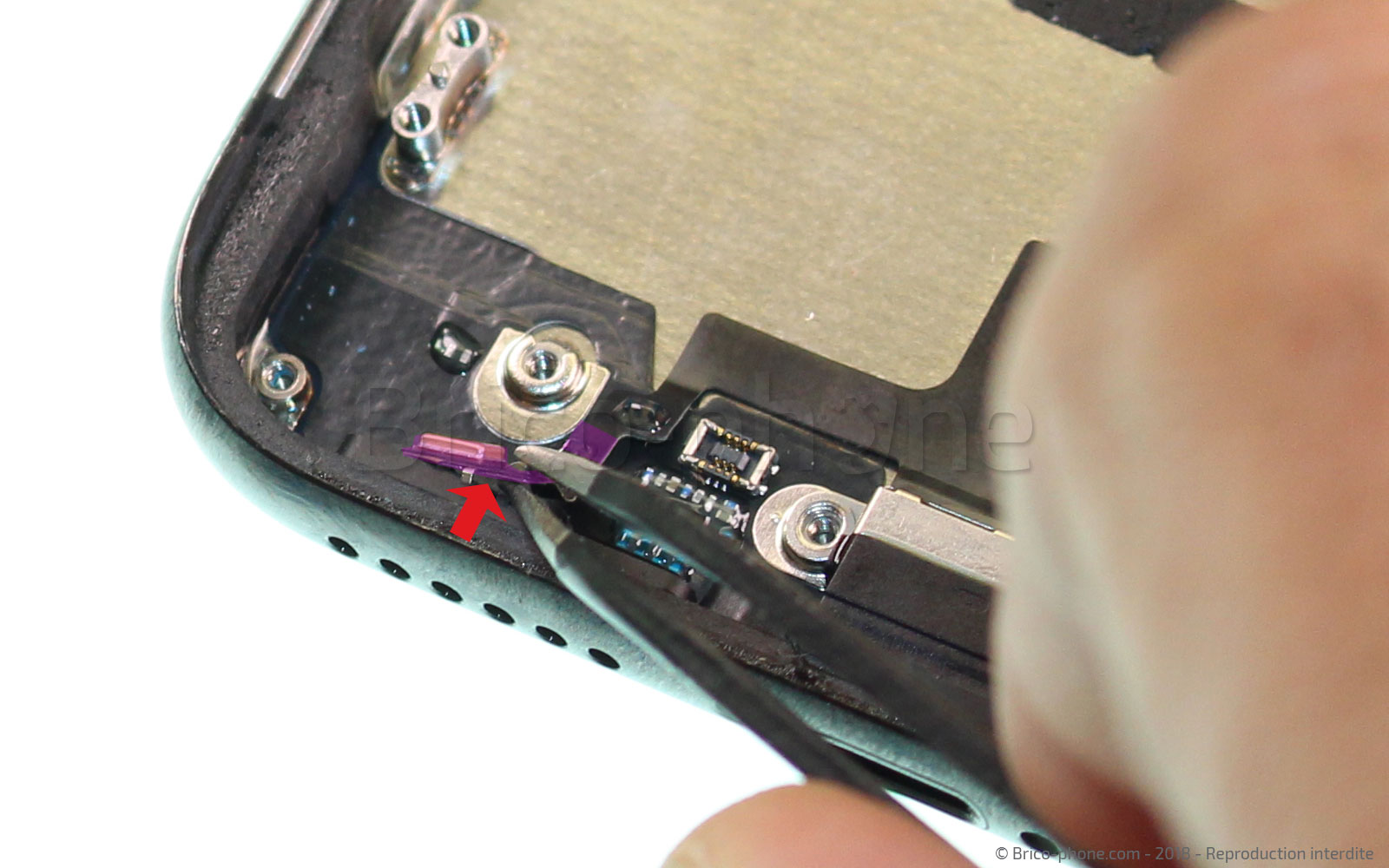 Changement du connecteur de charge sur iPhone X photo 1