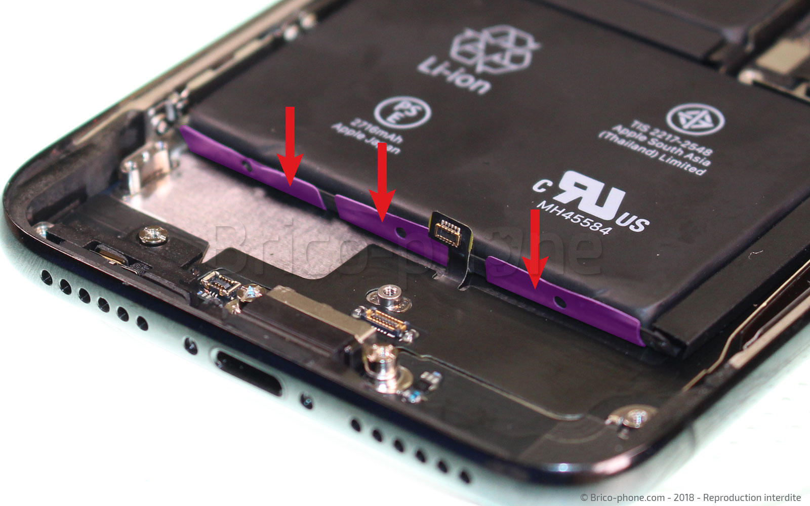 Changement du connecteur de charge sur iPhone X photo 1