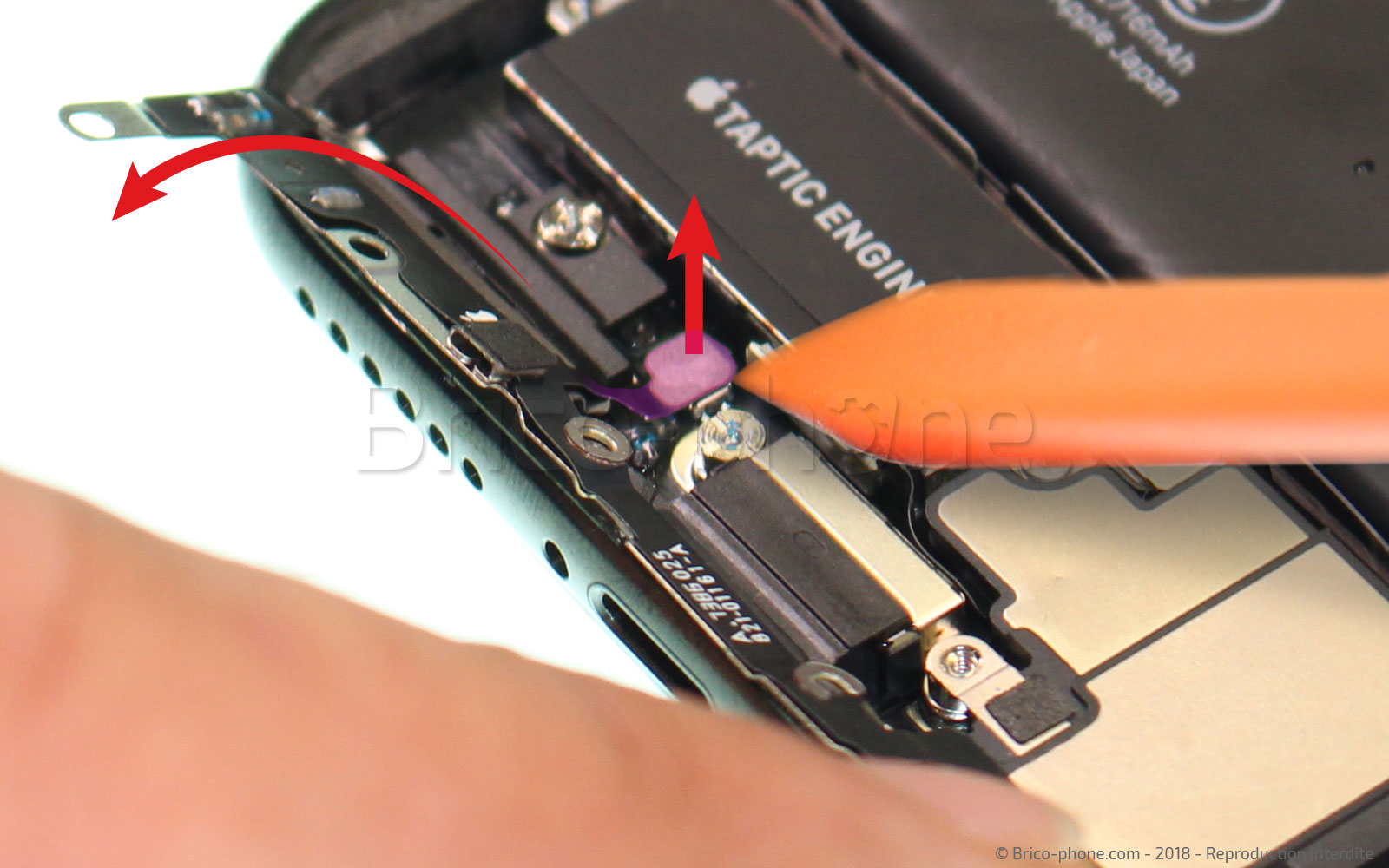 Changement du connecteur de charge sur iPhone X photo 3