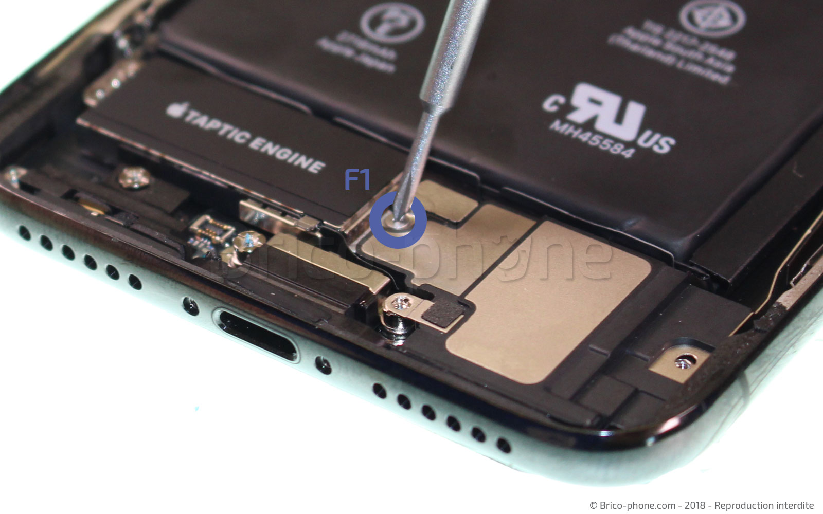 Changement du connecteur de charge sur iPhone X photo 1