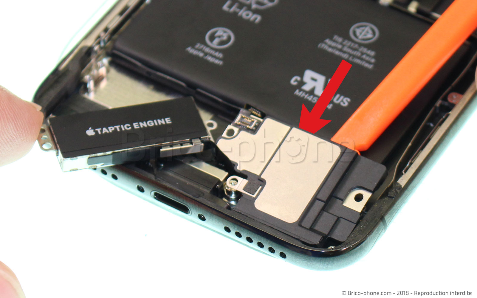 Changement du connecteur de charge sur iPhone X photo 1