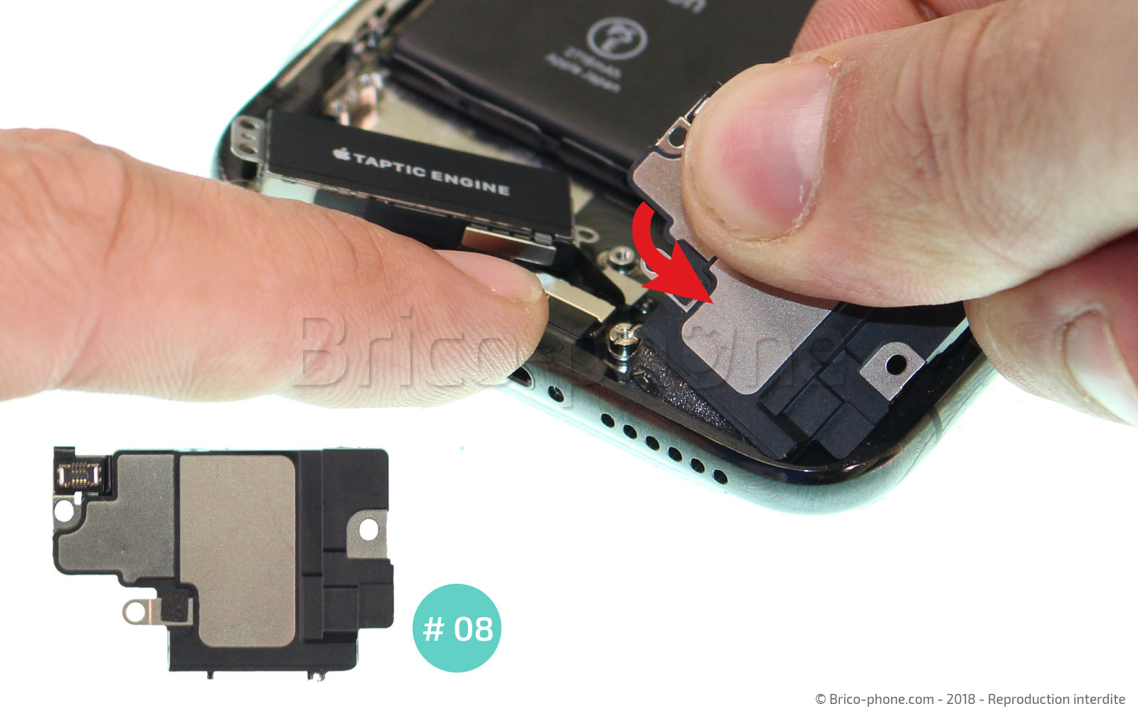 Changement du connecteur de charge sur iPhone X photo 2