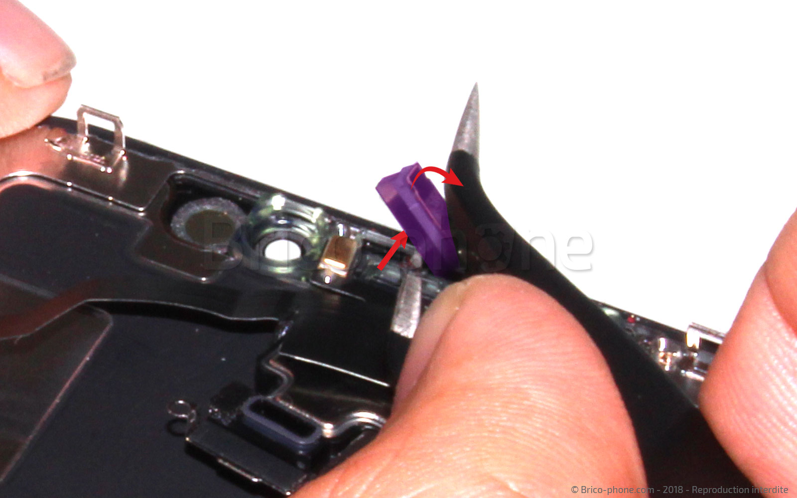 Changement de nappe du haut-parleur interne sur iPhone X photo 2