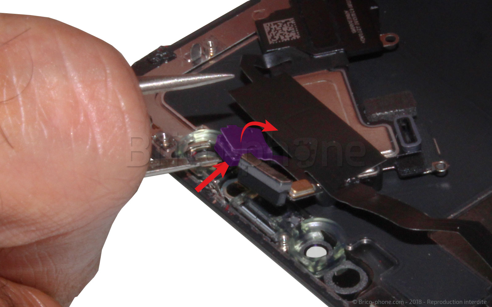 Changement de nappe du haut-parleur interne sur iPhone X photo 3