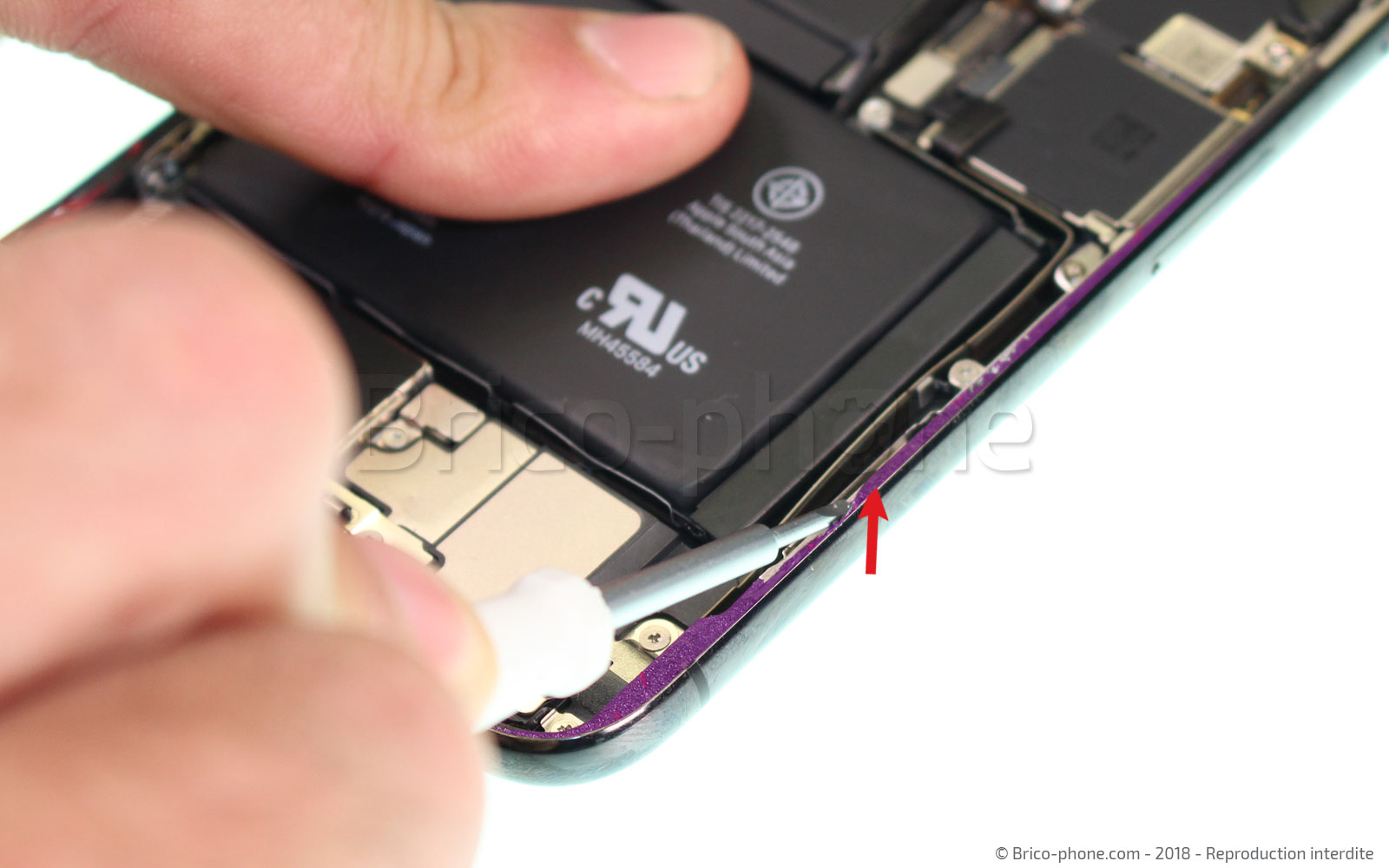 Changement du vibreur Taptic Engine sur iPhone X photo 1