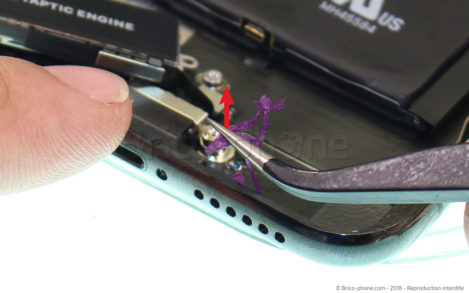 Changement du vibreur Taptic Engine sur iPhone X photo 3