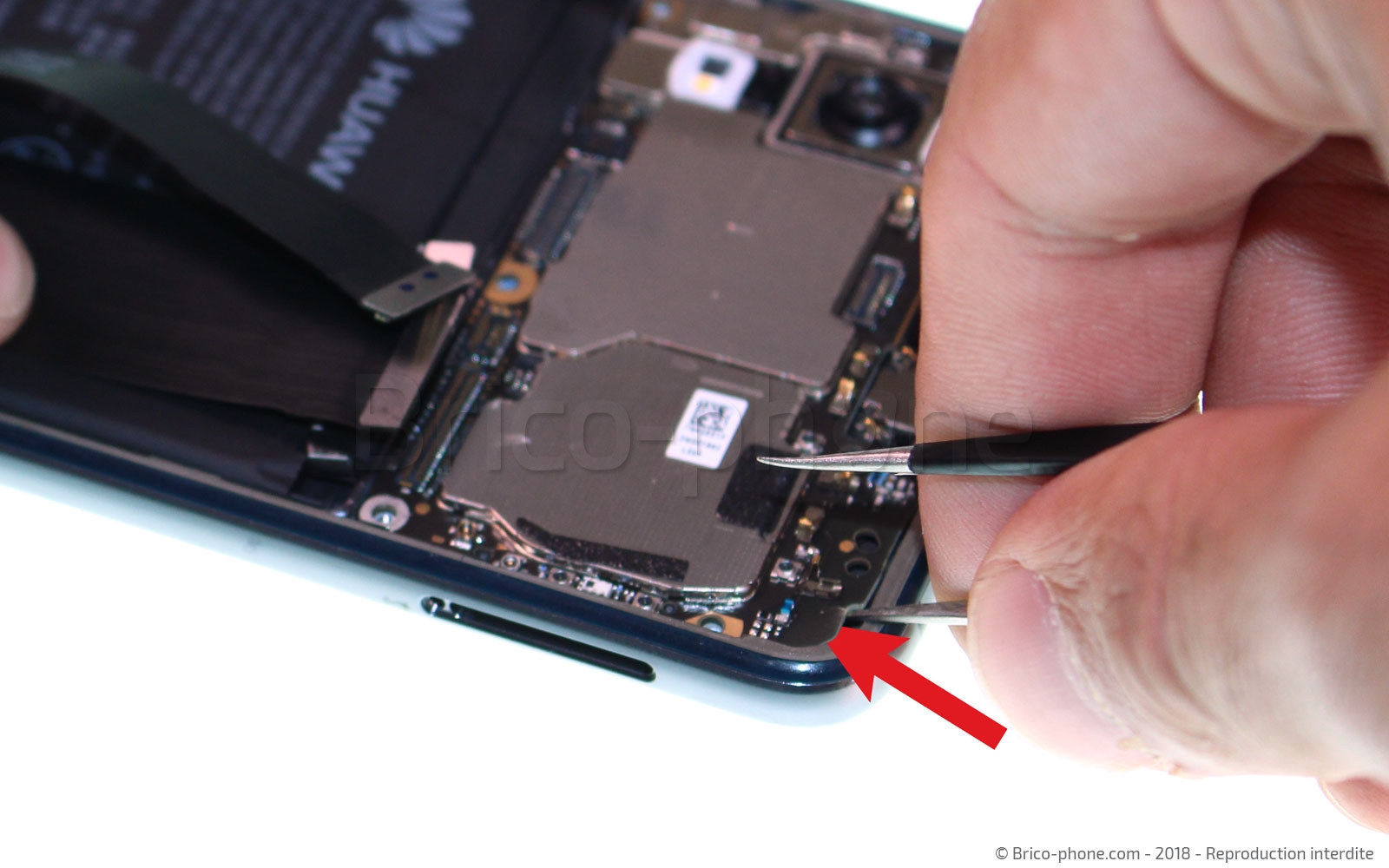 Démontage complet sur P20 photo 1