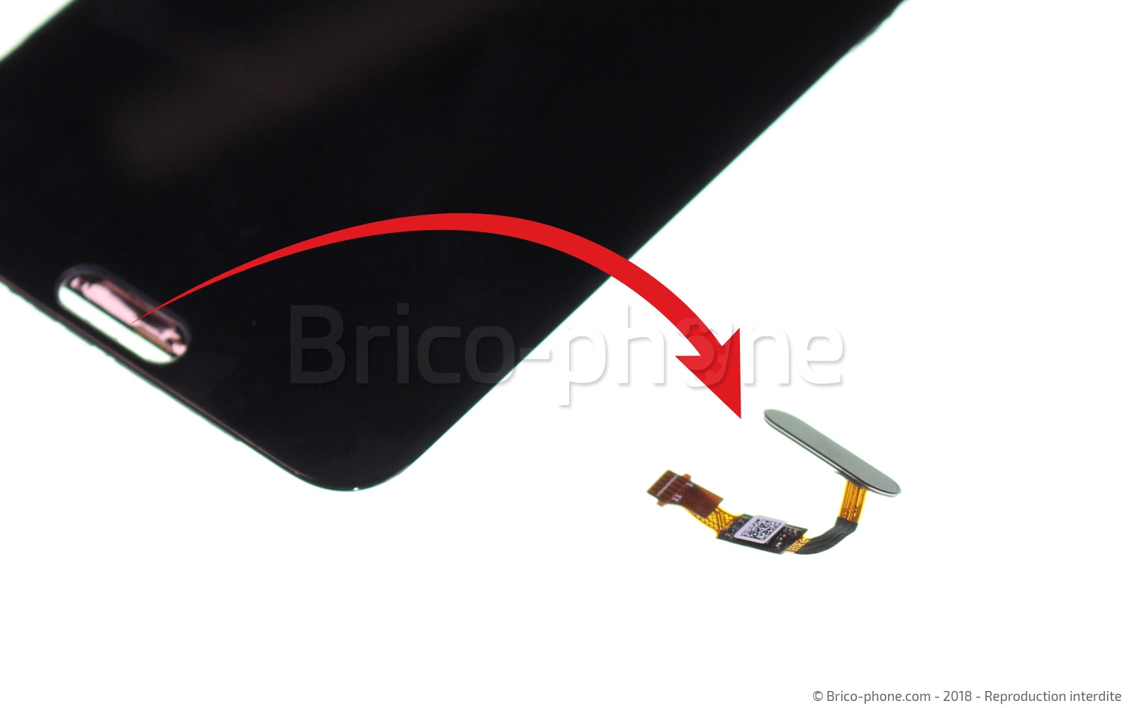 Démontage complet sur Honor View 10 photo 4