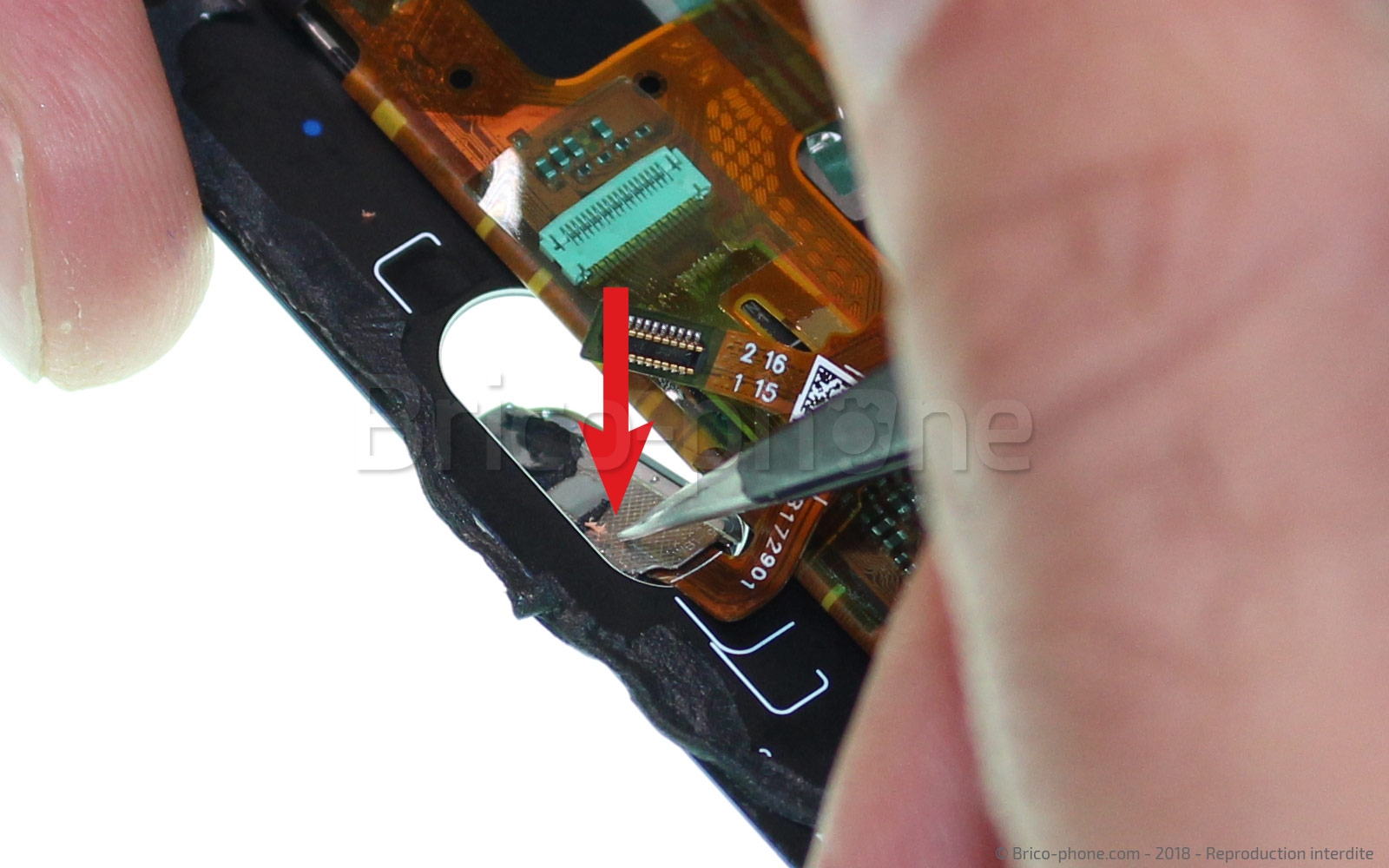 Démontage complet  sur Honor 9 photo 3