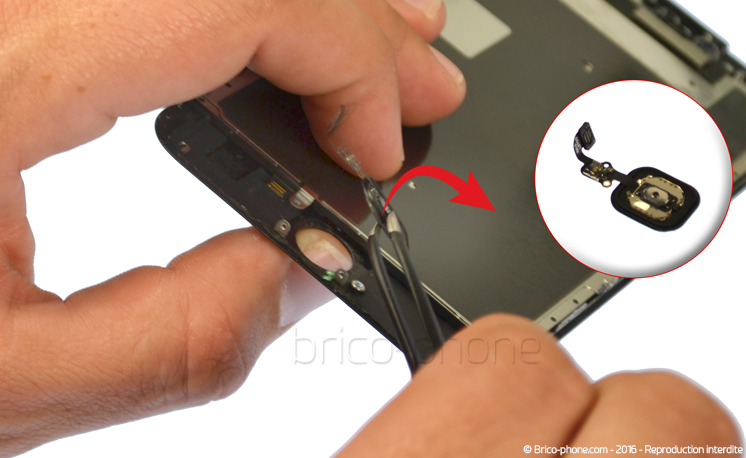 Changement de nappe bouton Home sur iPhone 6S Plus photo 1