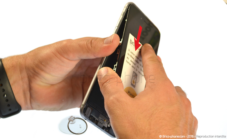 Changement du haut-parleur interne sur iPhone 6S Plus photo 1