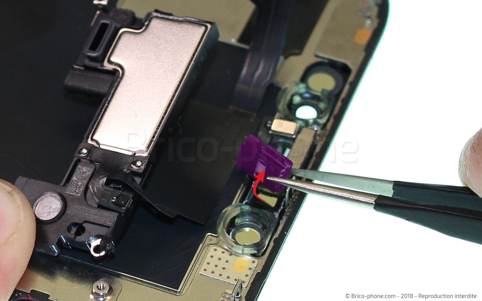 Changement du haut-parleur interne sur iPhone XS photo 4