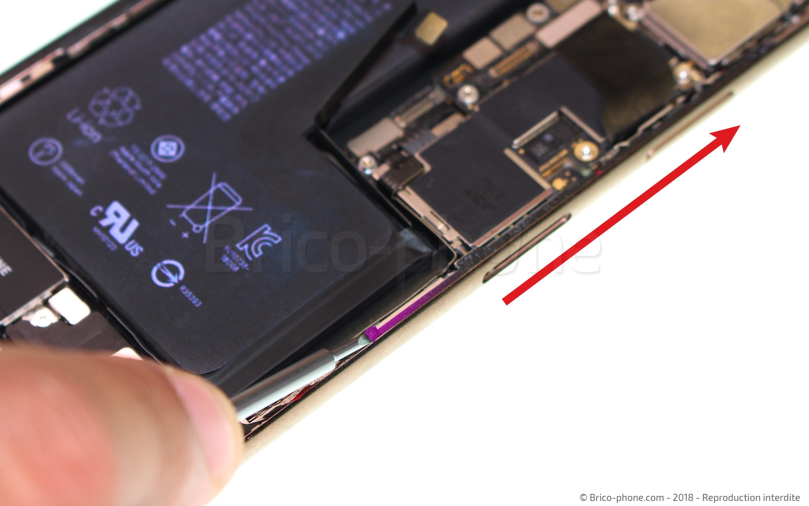 Changement du haut-parleur externe sur iPhone XS photo 1