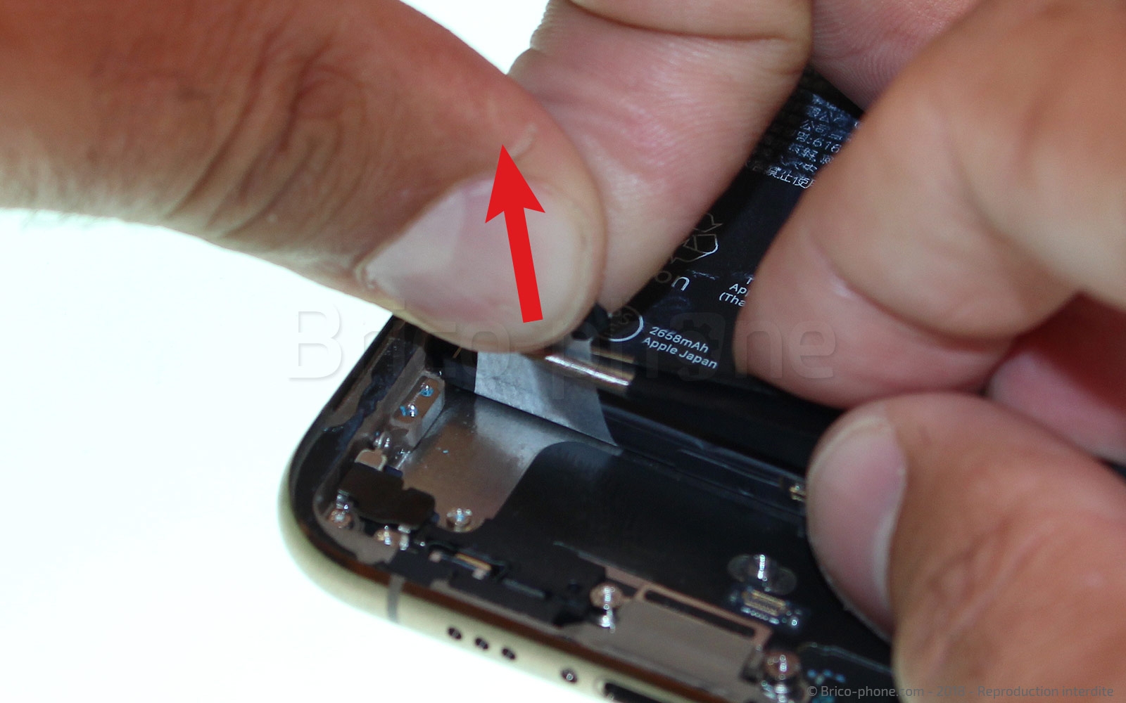 Changement du connecteur de charge sur iPhone XS photo 2