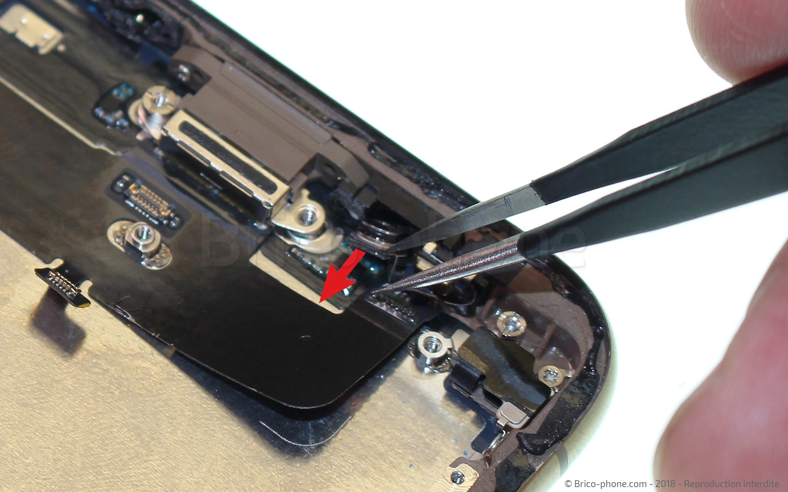 Changement du connecteur de charge sur iPhone XS photo 1