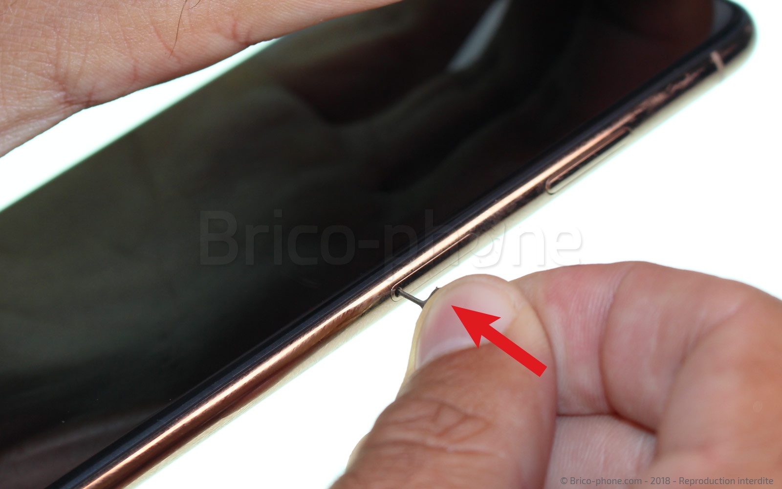 Changement du haut-parleur externe sur iPhone XS Max photo 2