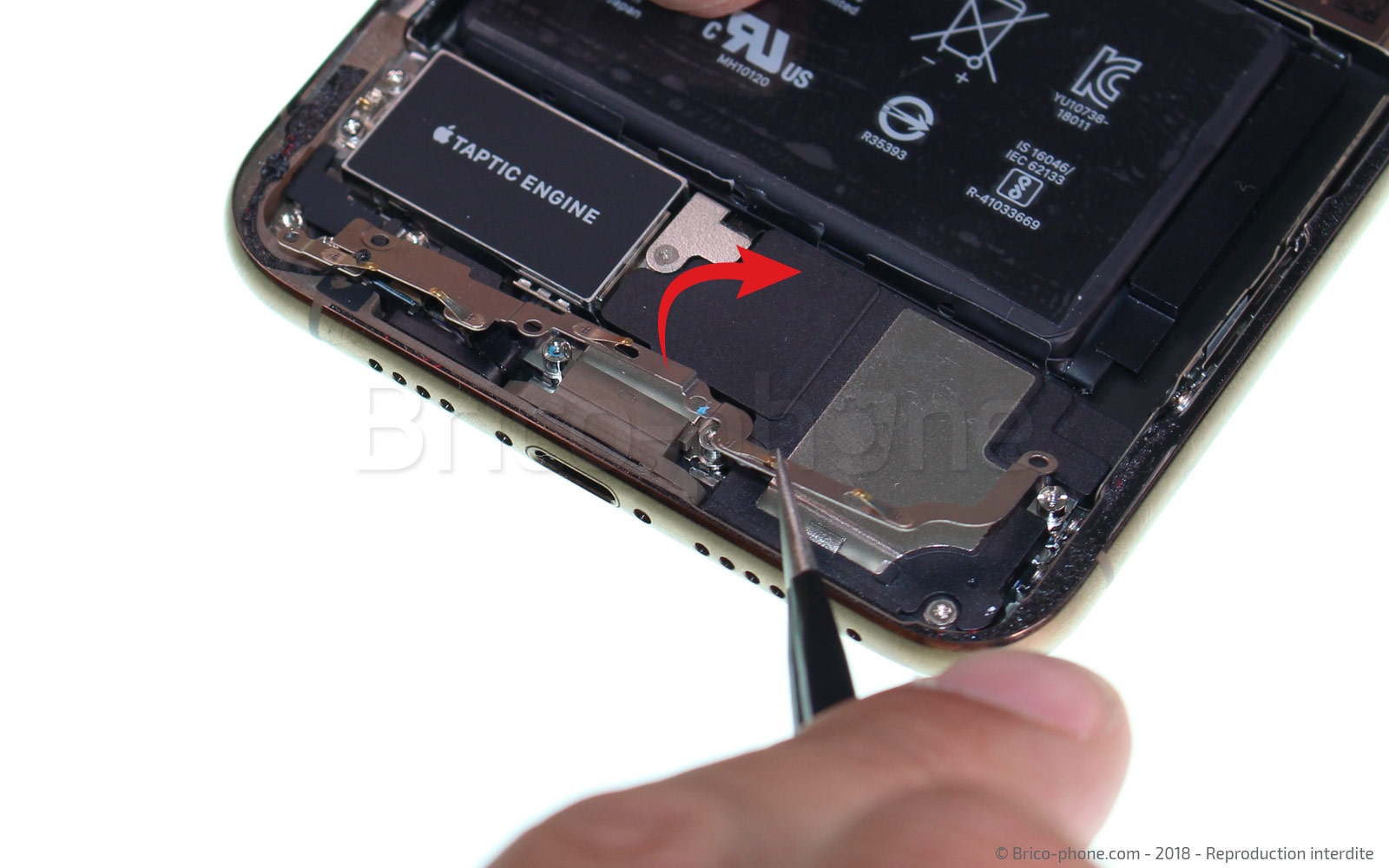 Changement du haut-parleur externe sur iPhone XS Max photo 2