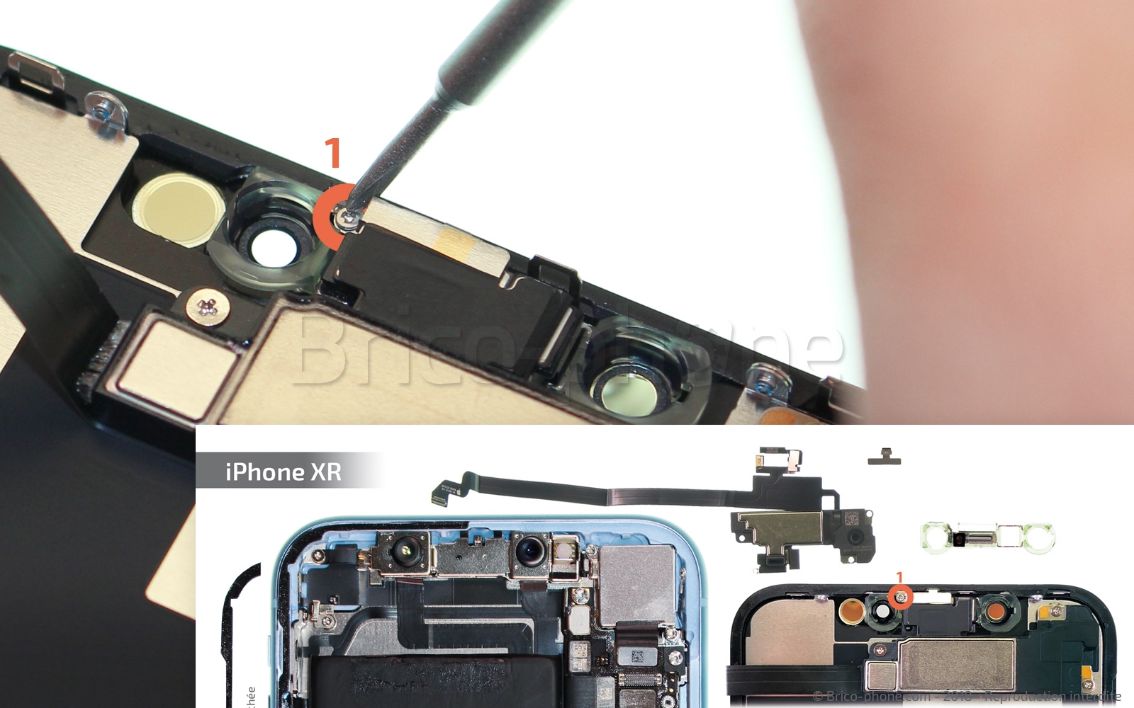 Changement de l'écran (vitre + LCD + Plaquette) sur iPhone XR photo 2