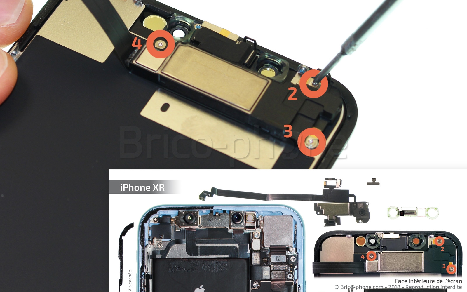 Changement de l'écran (vitre + LCD + Plaquette) sur iPhone XR photo 3