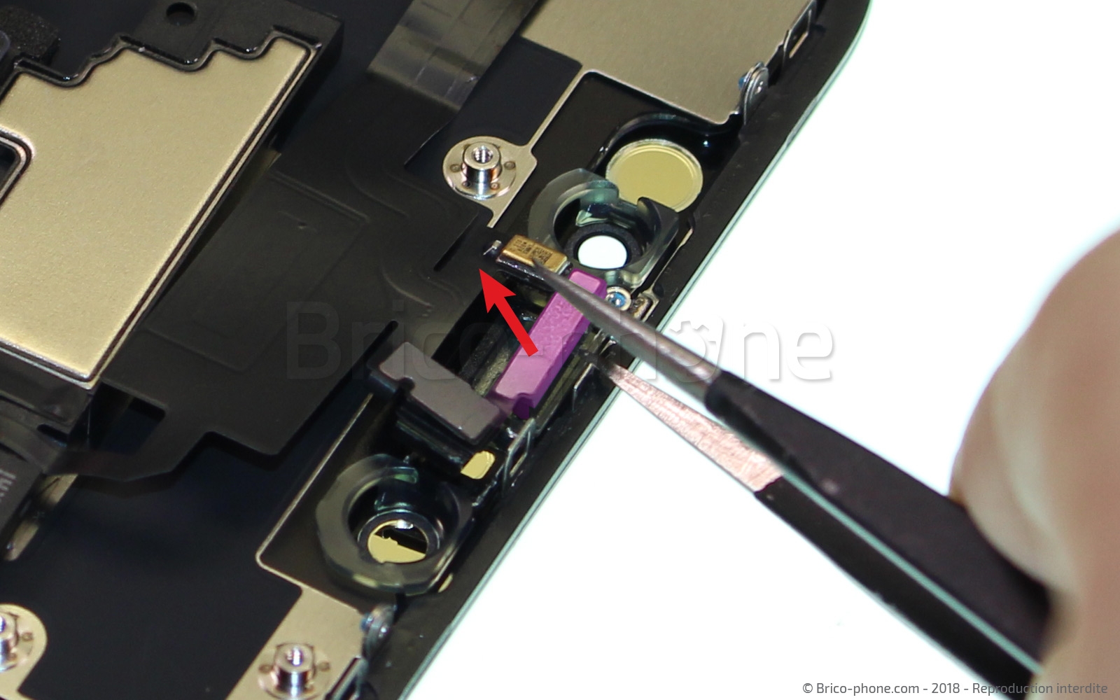 Changement de l'écran (vitre + LCD + Plaquette) sur iPhone XR photo 3