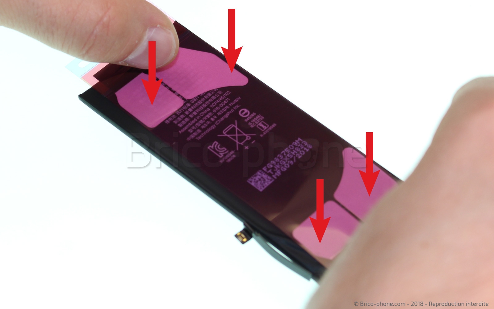 Changement de batterie sur iPhone XR photo 1