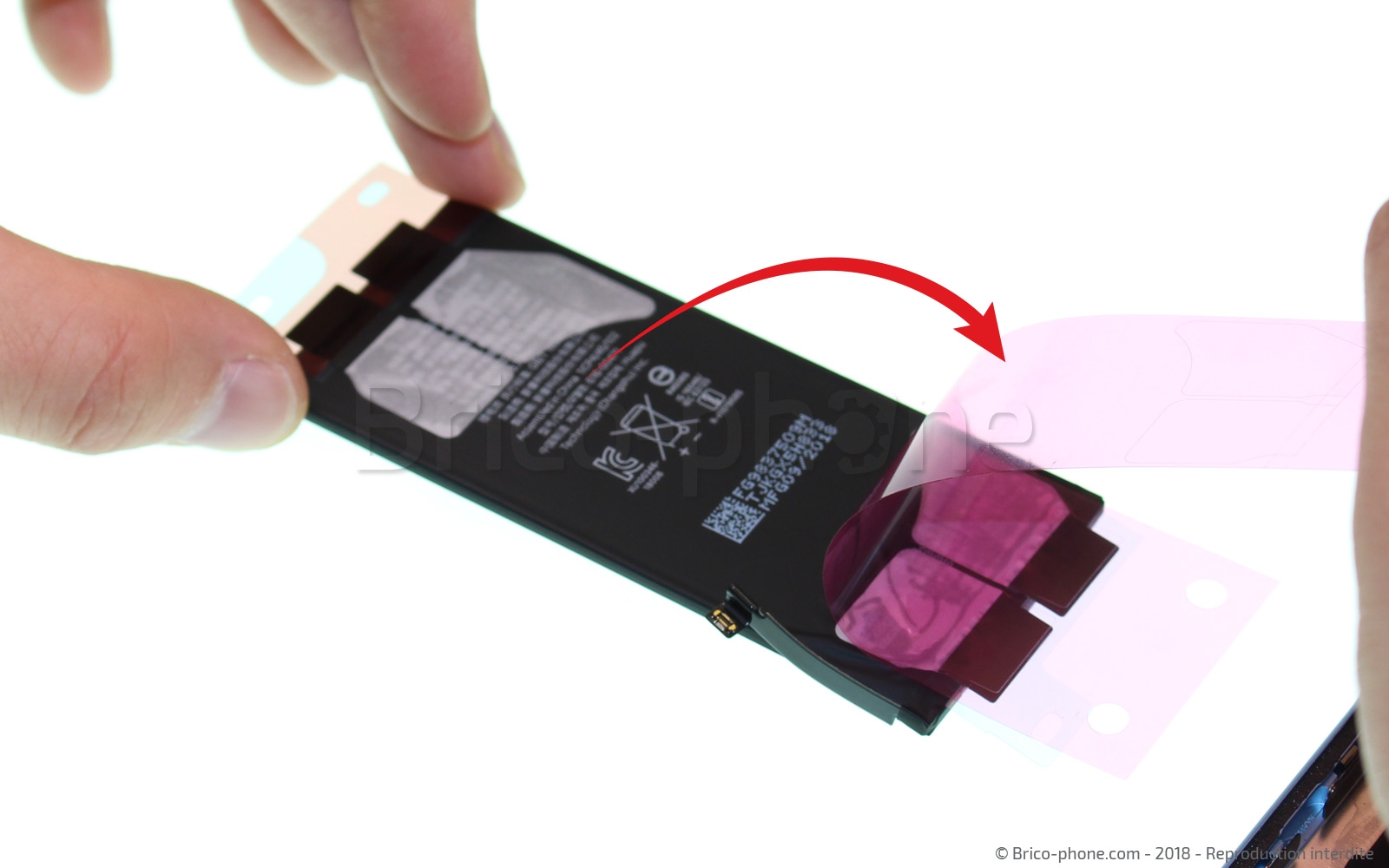 Changement de batterie sur iPhone XR photo 2
