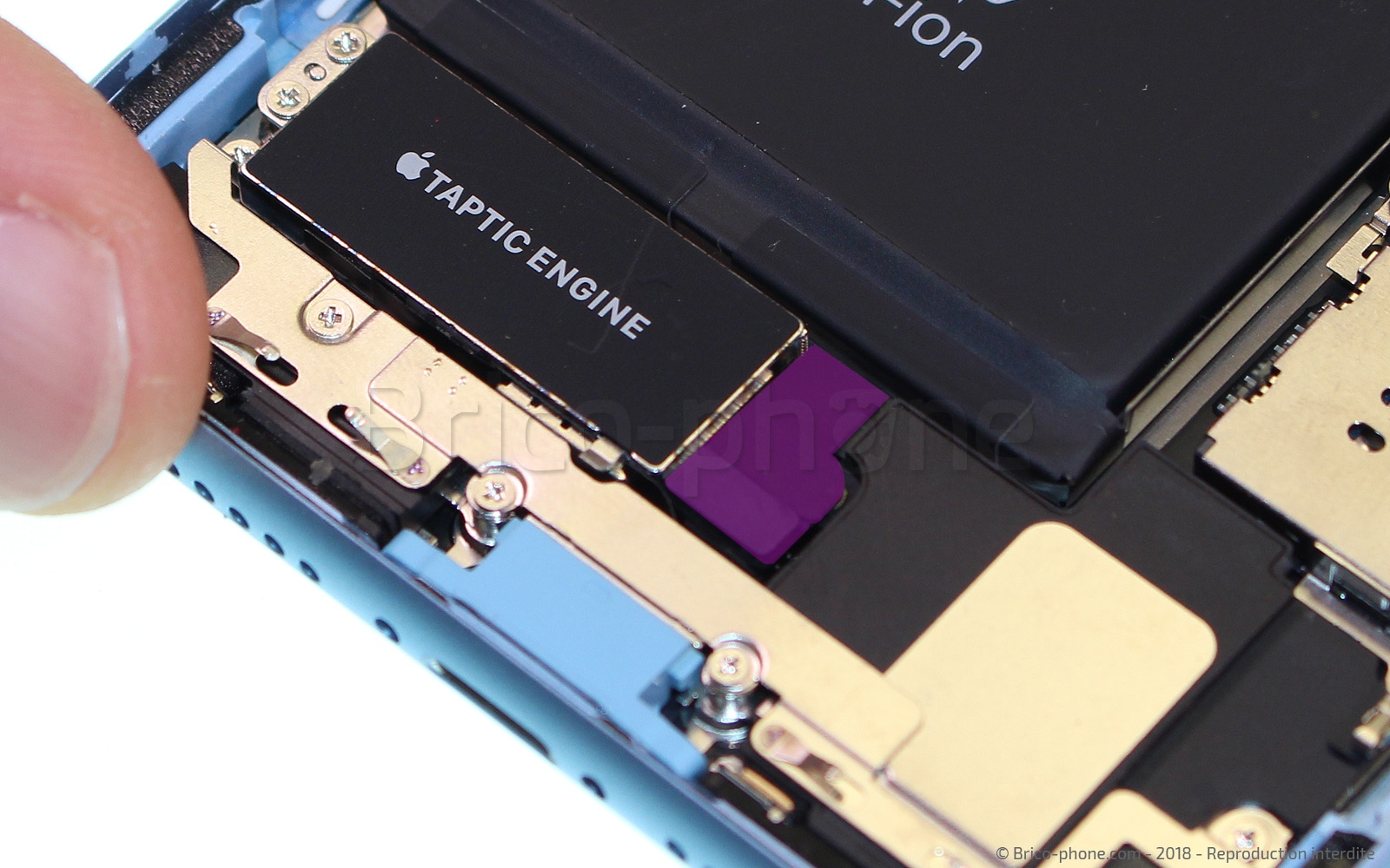 Changement du vibreur Taptic Engine sur iPhone XR photo 1