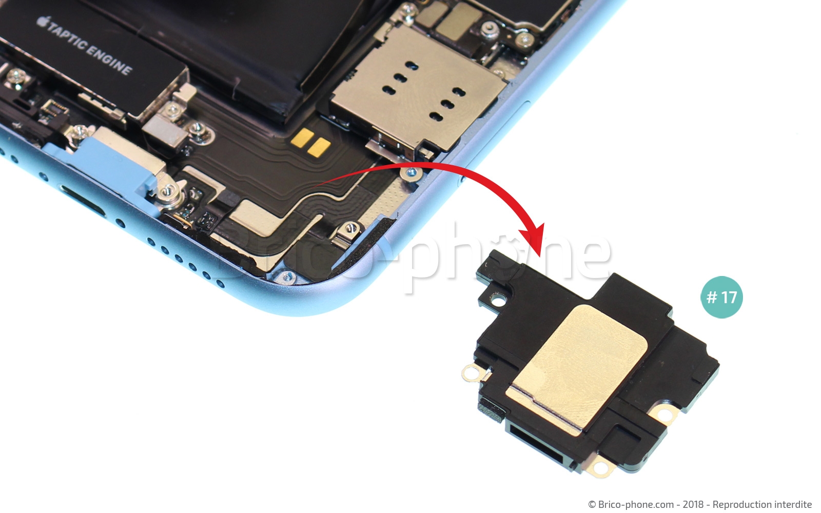 Changement de haut-parleur externe sur iPhone XR photo 4