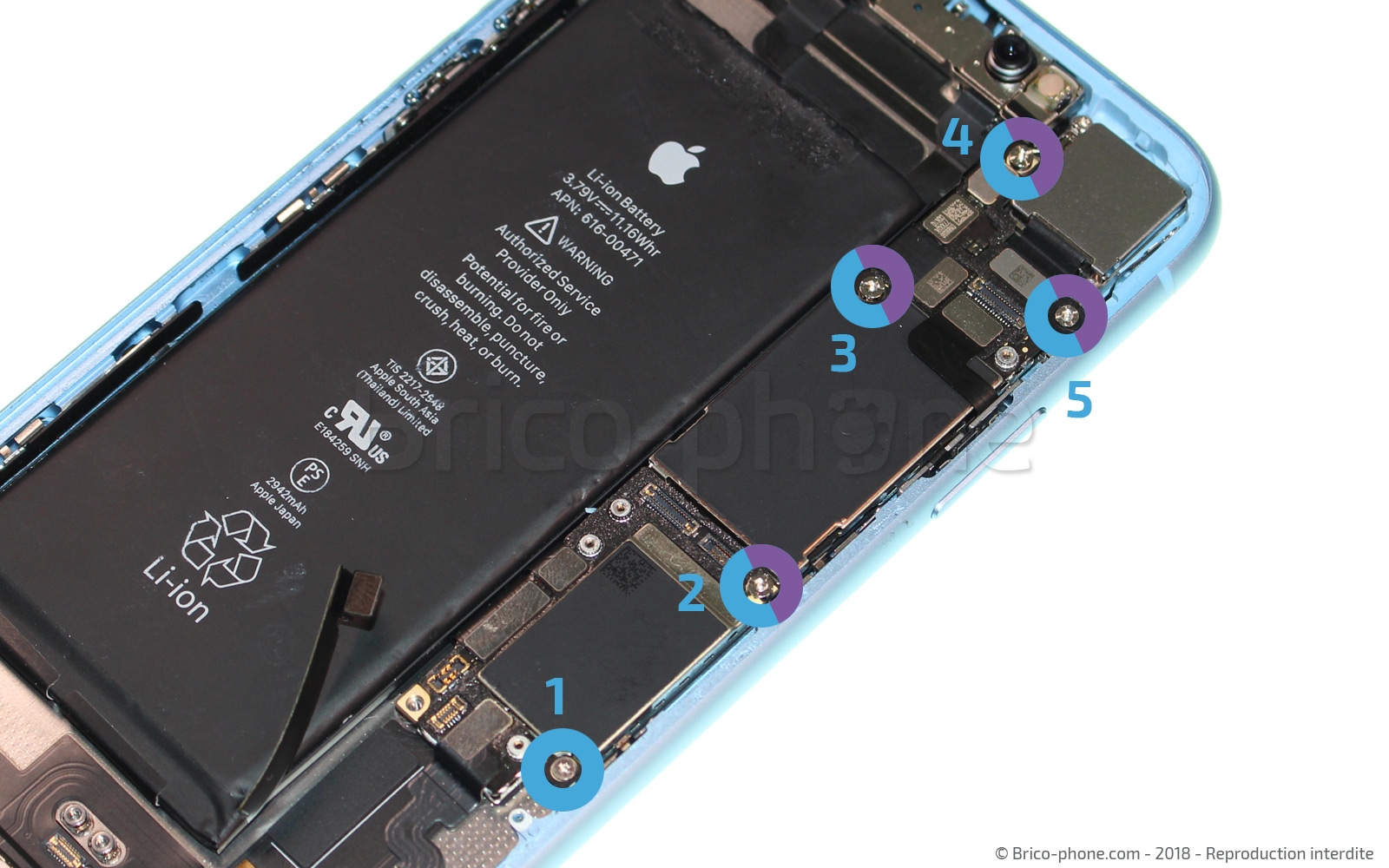 Changement d'antenne basse sur iPhone XR photo 1