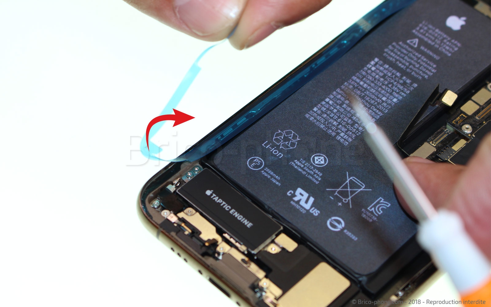 Changement du vibreur Taptic Engine sur iPhone XS photo 4