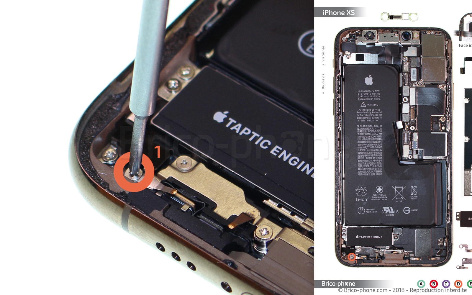 Changement du vibreur Taptic Engine sur iPhone XS photo 2