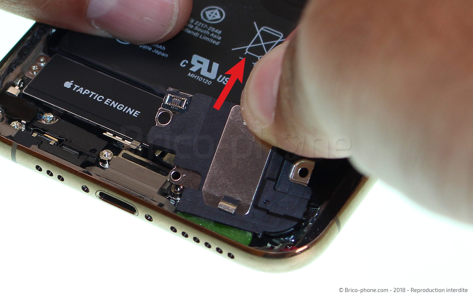 Changement du vibreur Taptic Engine sur iPhone XS photo 3