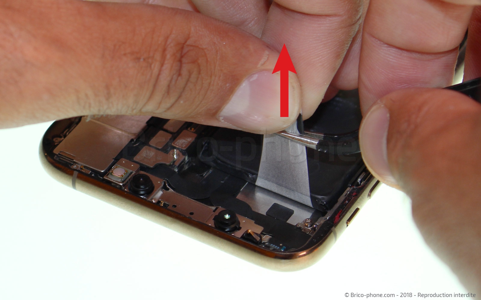 Changement d'antenne WiFi sur iPhone XS photo 2