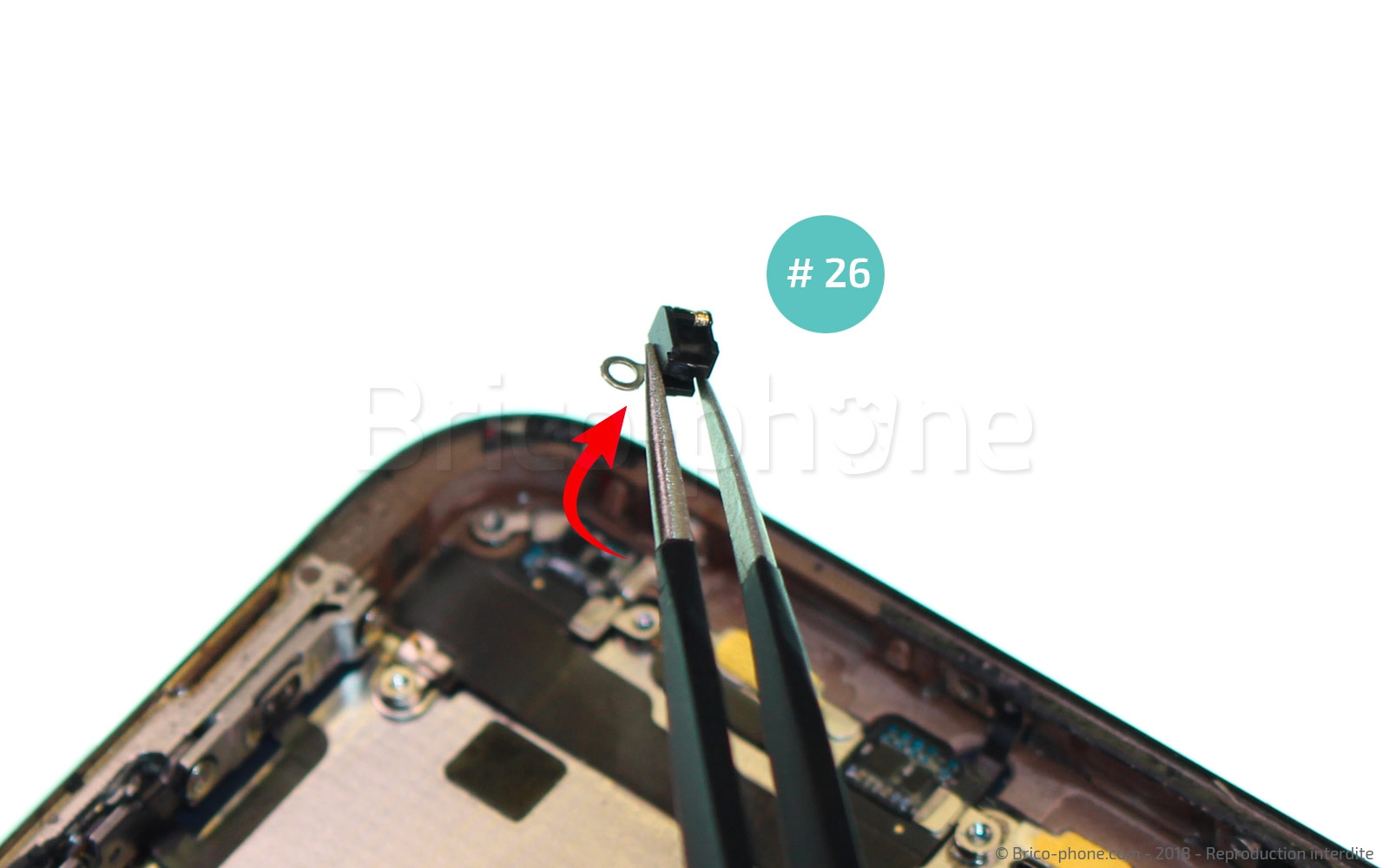 Changement d'antenne WiFi sur iPhone XS photo 2