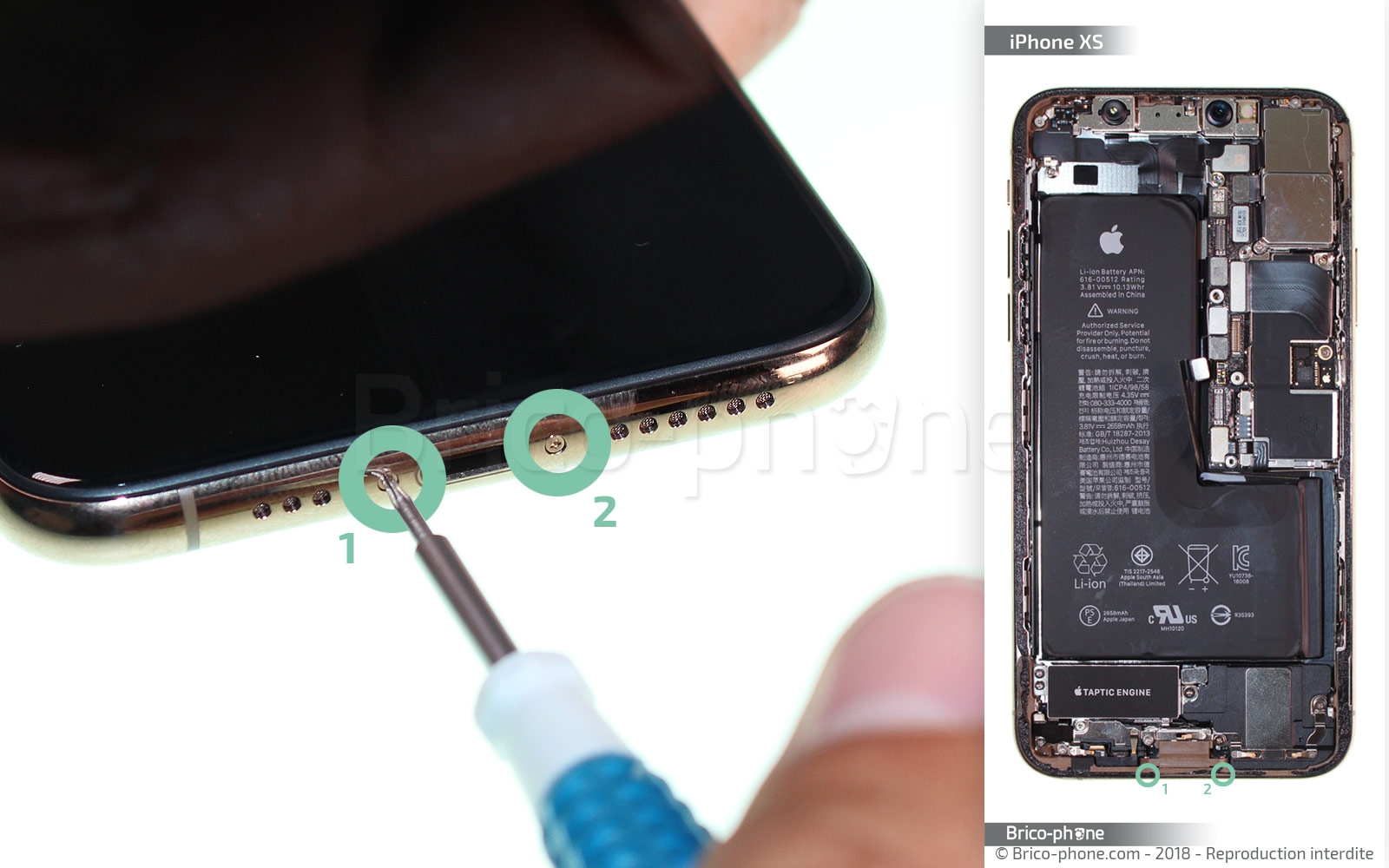 Changement de nappe volume et induction sur iPhone XS photo 1