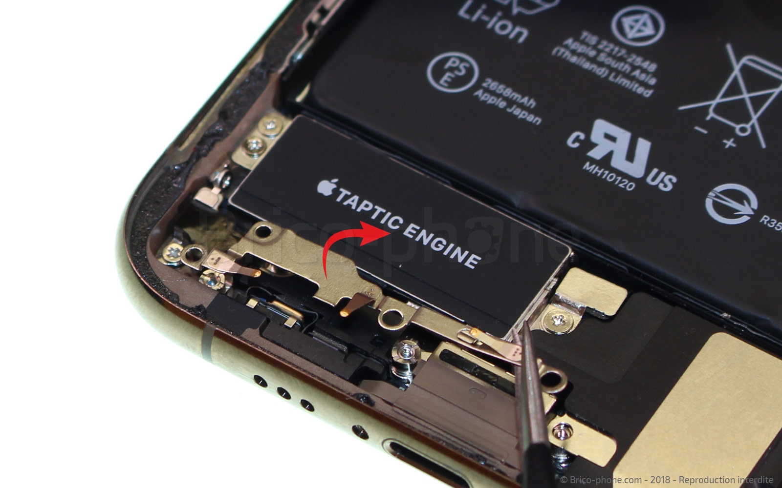 Changement de nappe volume et induction sur iPhone XS photo 2