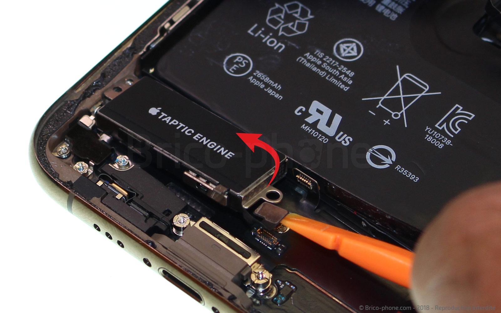 Changement de nappe volume et induction sur iPhone XS photo 3