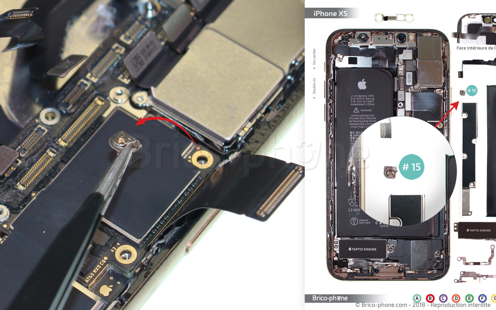 Changement de nappe volume et induction sur iPhone XS photo 3