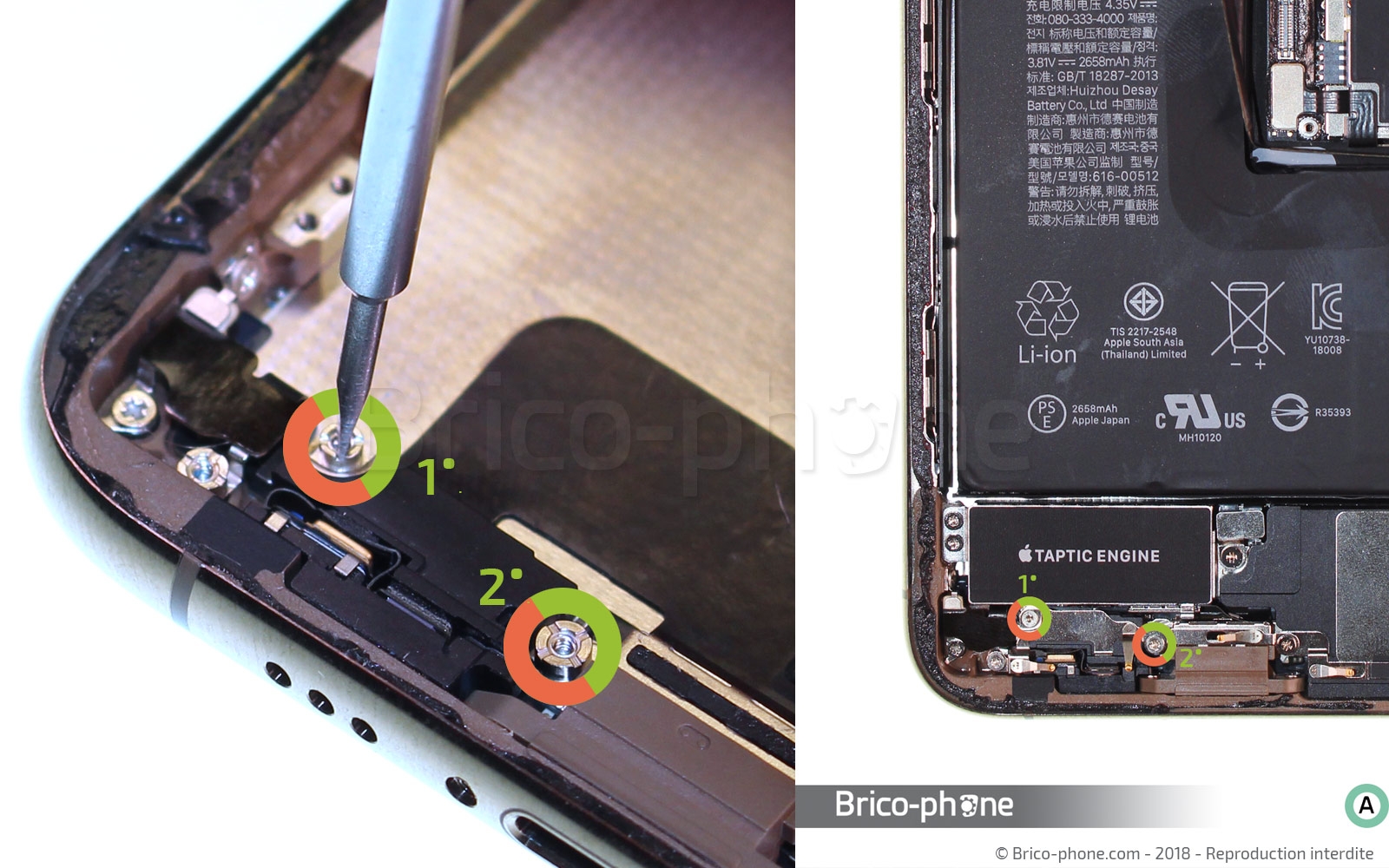 Changement de nappe volume et induction sur iPhone XS photo 1