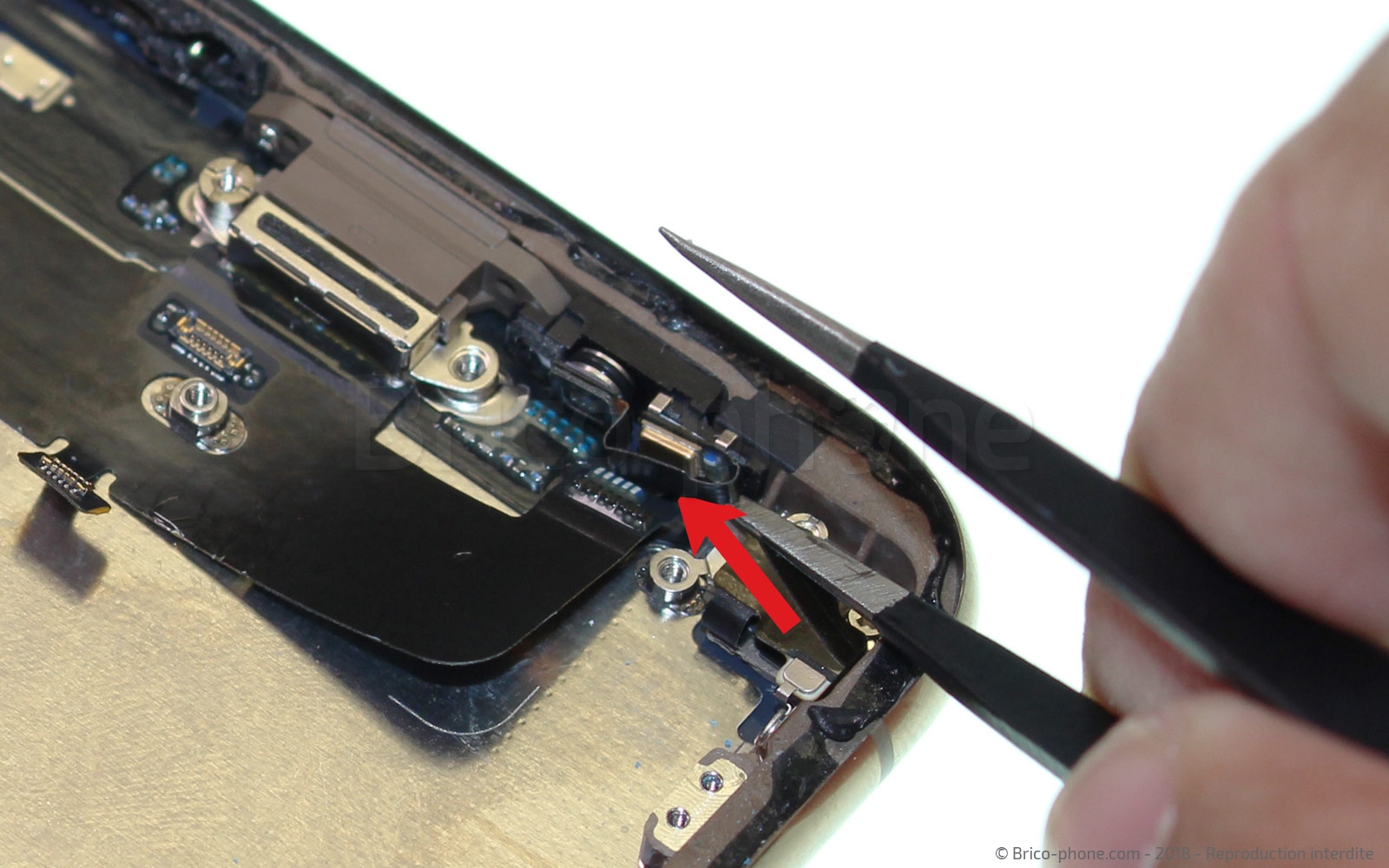 Changement de nappe volume et induction sur iPhone XS photo 2