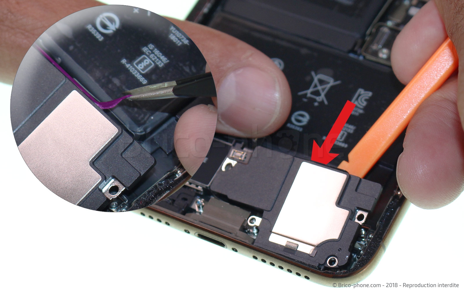 Changement du connecteur de charge sur iPhone XS Max photo 4