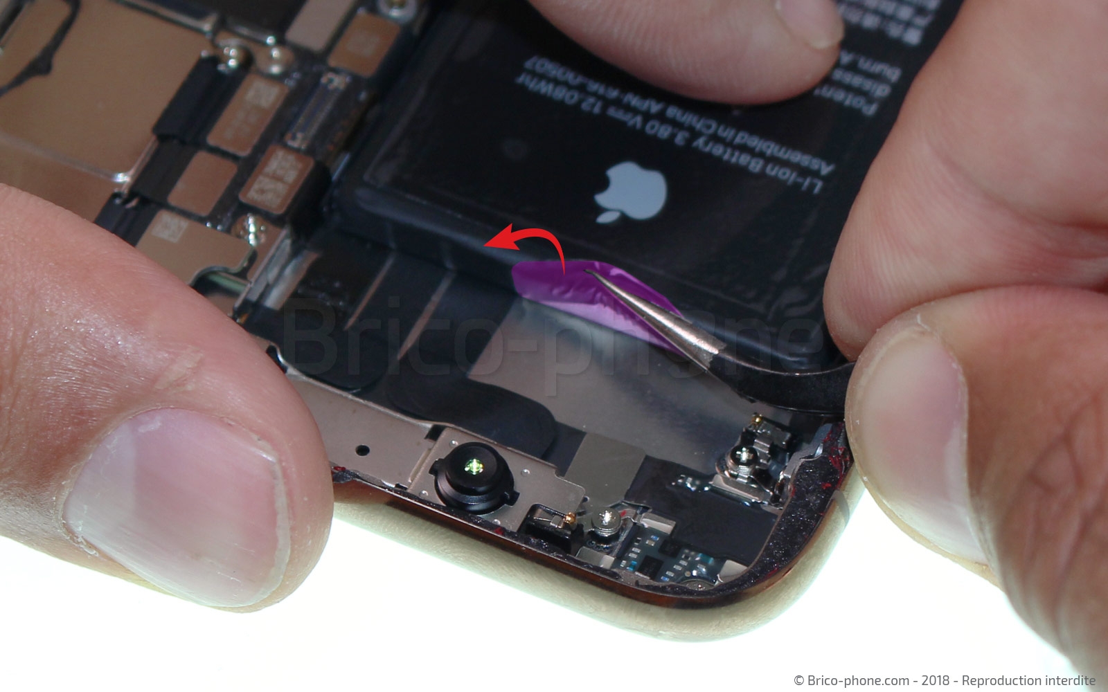 Changement du connecteur de charge sur iPhone XS Max photo 1