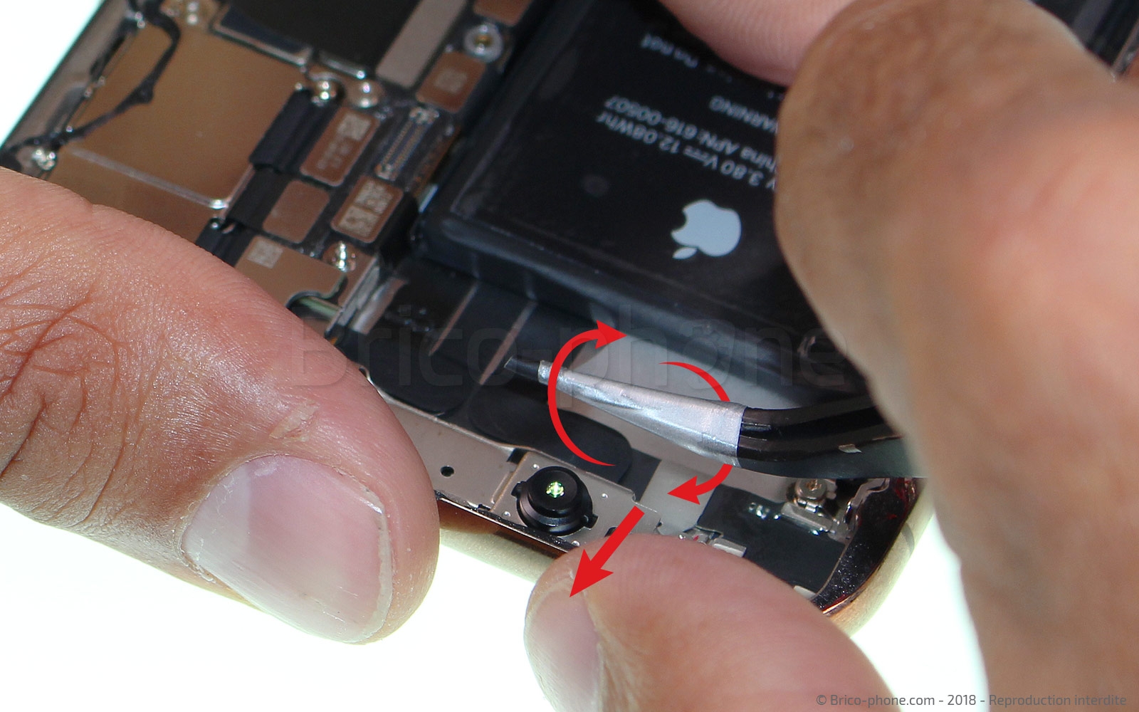 Changement du connecteur de charge sur iPhone XS Max photo 2