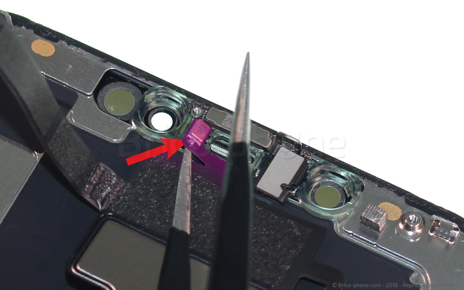 Changement du haut-parleur interne sur iPhone XS Max photo 1