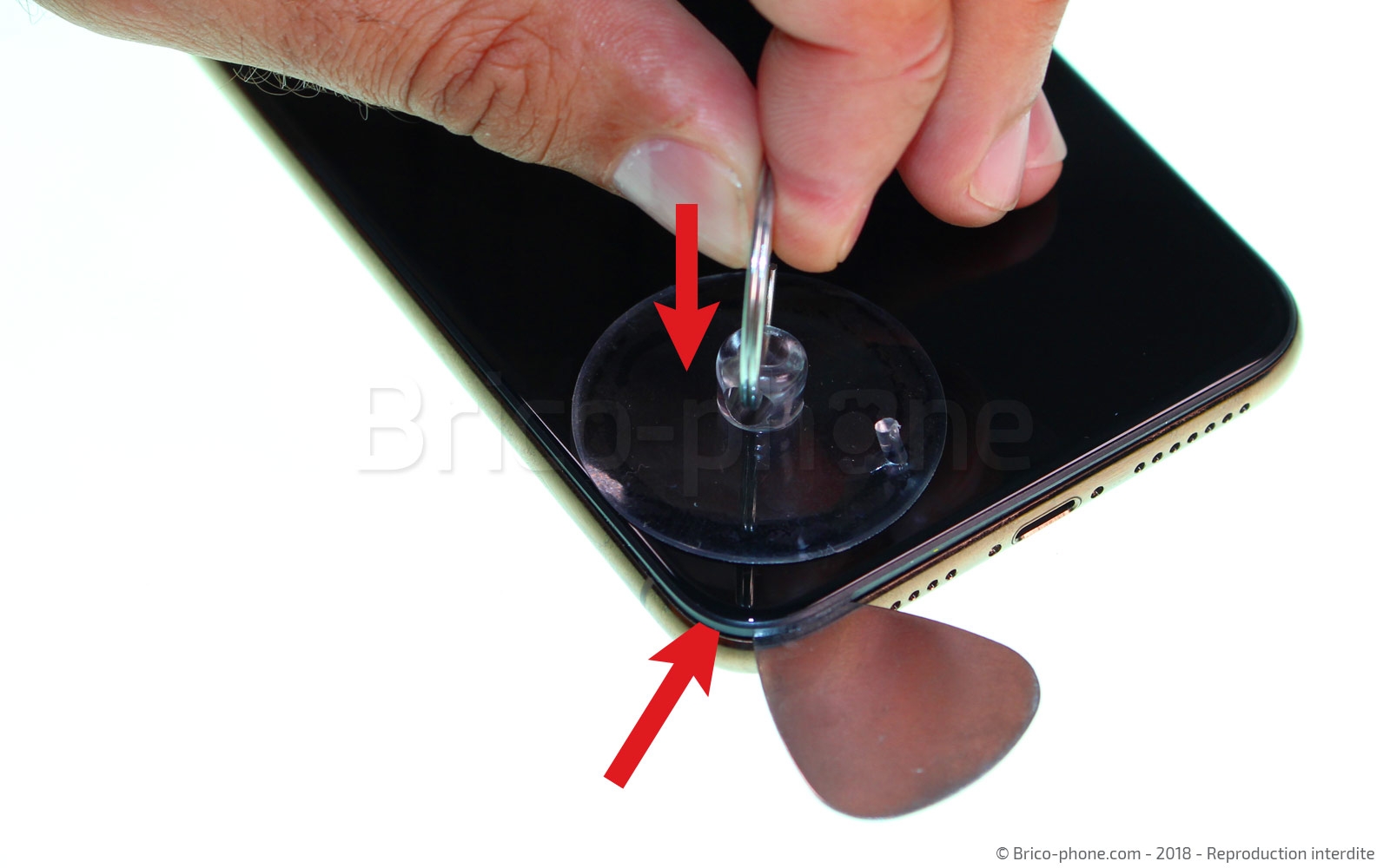 Changement du vibreur Taptic Engine sur iPhone XS Max photo 1