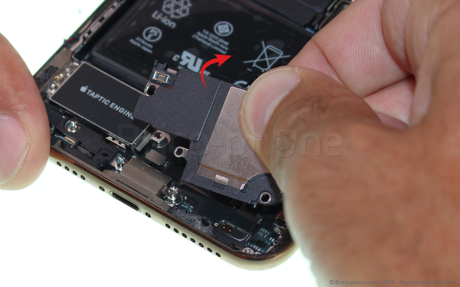 Changement du vibreur Taptic Engine sur iPhone XS Max photo 1